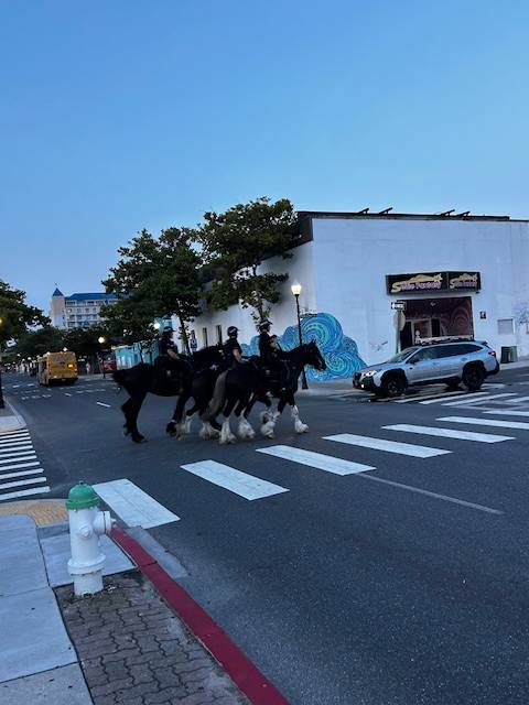 OCPD mounted patrol