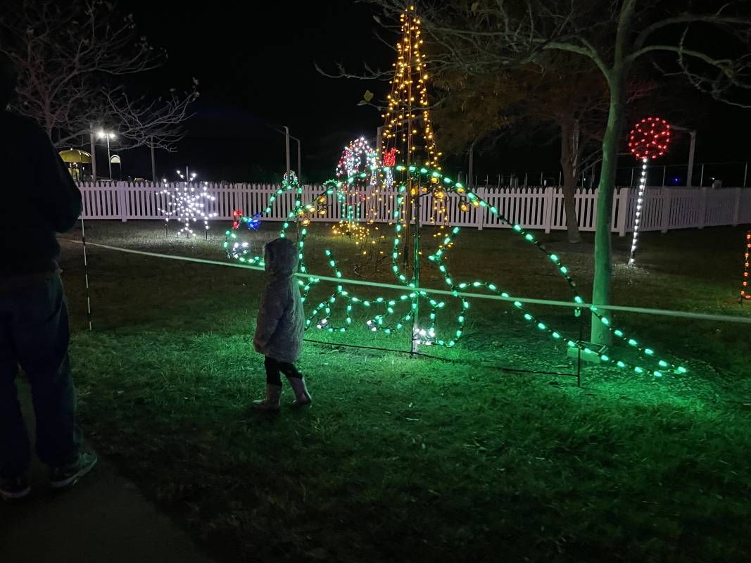 Winterfest of Lights in Ocean City