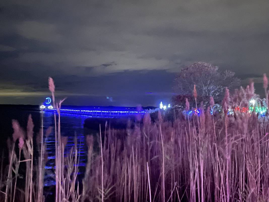 Winterfest of Lights in Ocean City