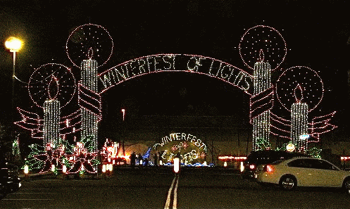 Winterfest of Lights Twinkle