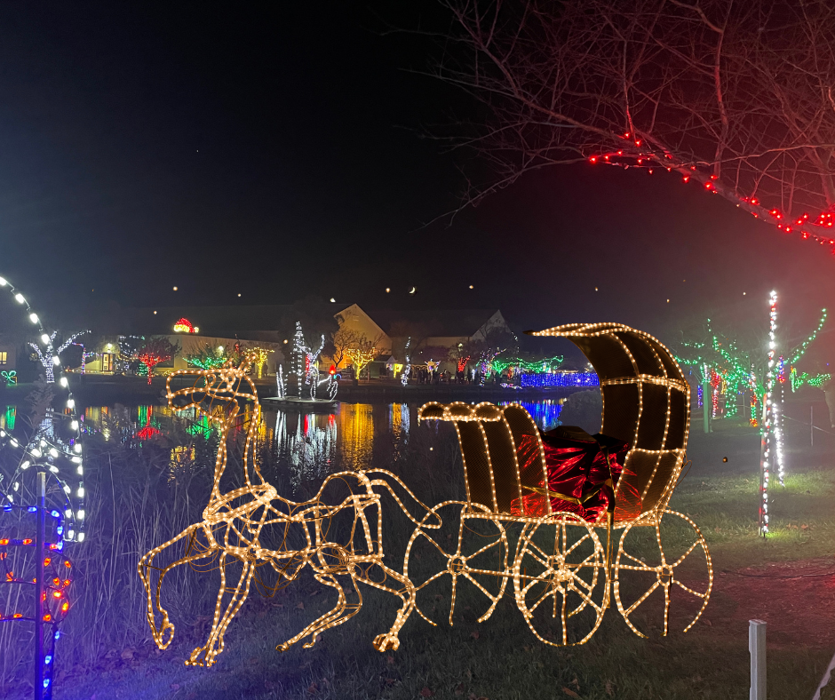 horse-drawn carriage ride through the winterfest of lights!