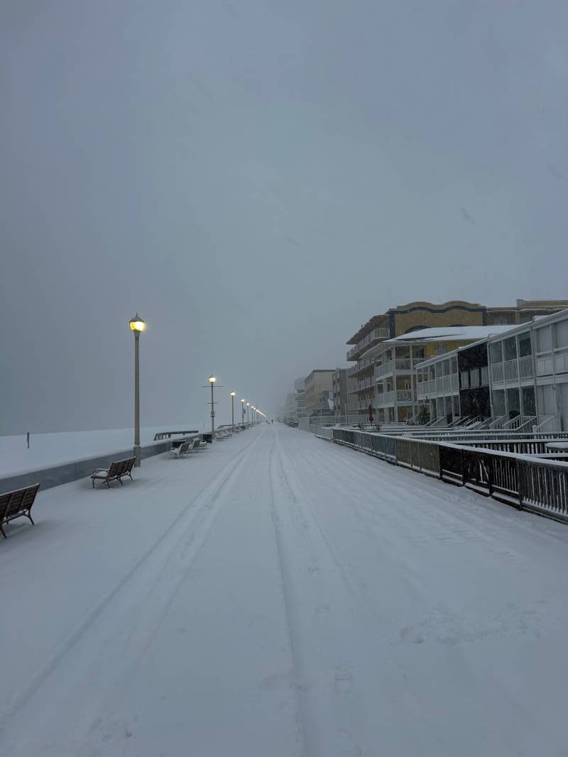 boardwalk picture