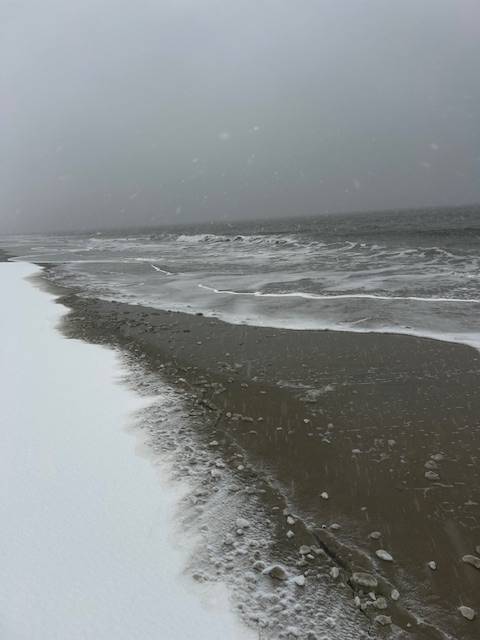 shoreline picture 2