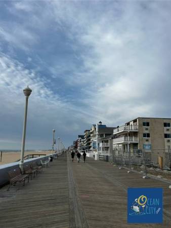 boardwalk joggers