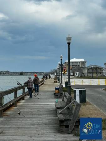 bayside fishing
