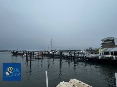 Bayside view