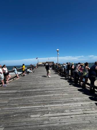Viewing from the OC Fishing Pier