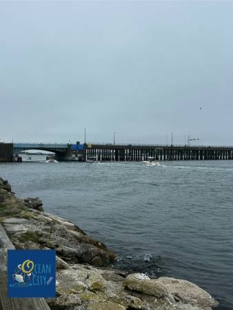 bayside view