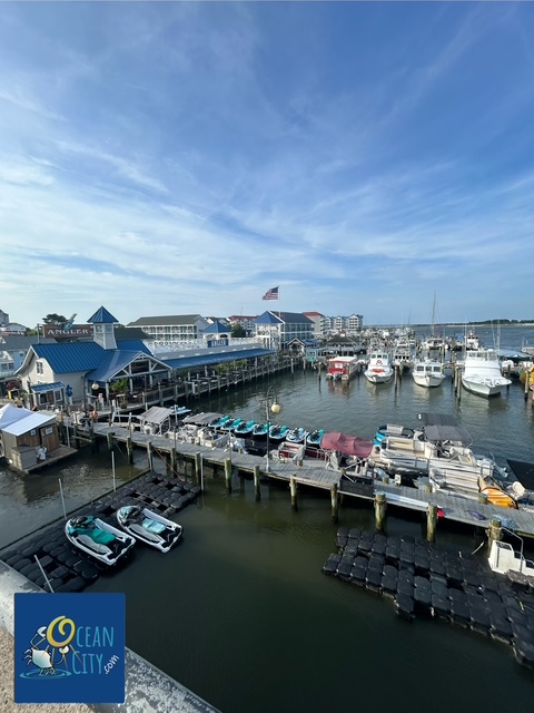Bayside picture