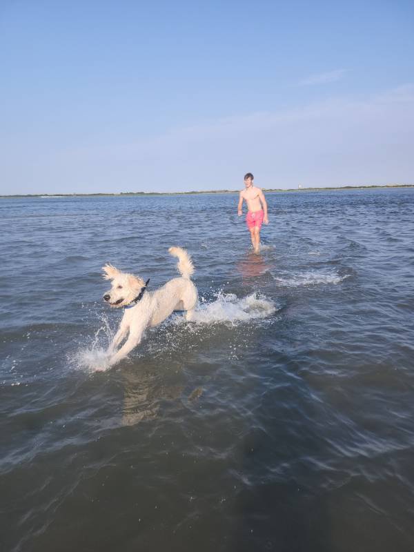 Photo Friday Danielle Hart My boys enjoying a perfect beach day!Danielle Hart My boys enjoying a perfect beach day!