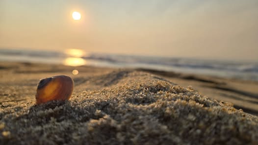 Photo Friday beach
