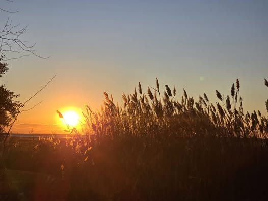 photo friday sunrise