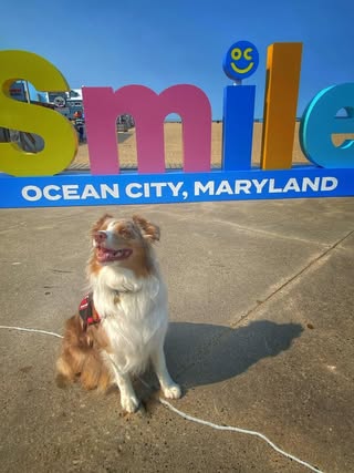 photo Friday Steve Arthur A day on the boardwalk