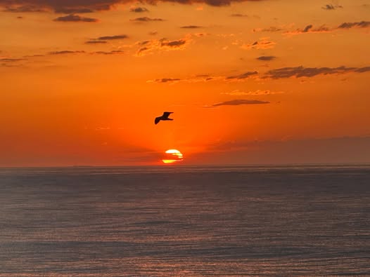 Photo Friday Billie Jo Stoltz Is there any better feeling than waking up in Ocean City, Md?