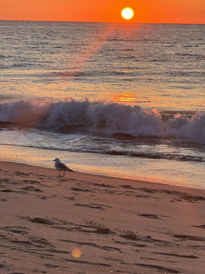 photo Friday Heather Morgan Sunrise over the Atlantic