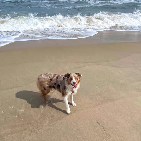 Photo Friday Steve Arthur Day on the Beach