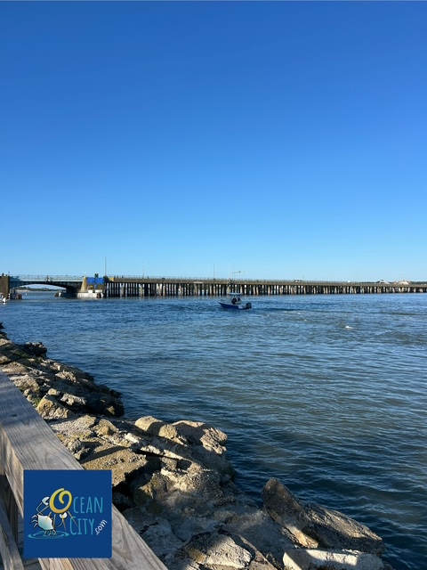 bayside view