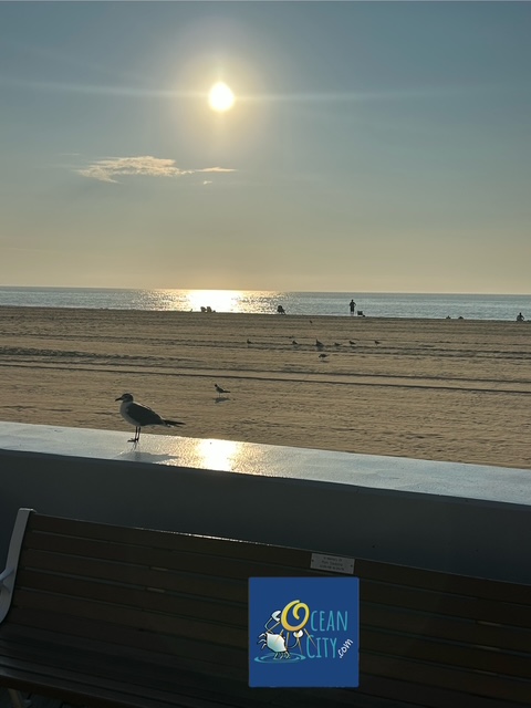 sunrise view from the boardwalk