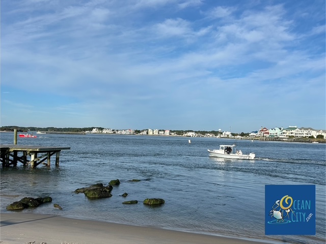 Bayside boating