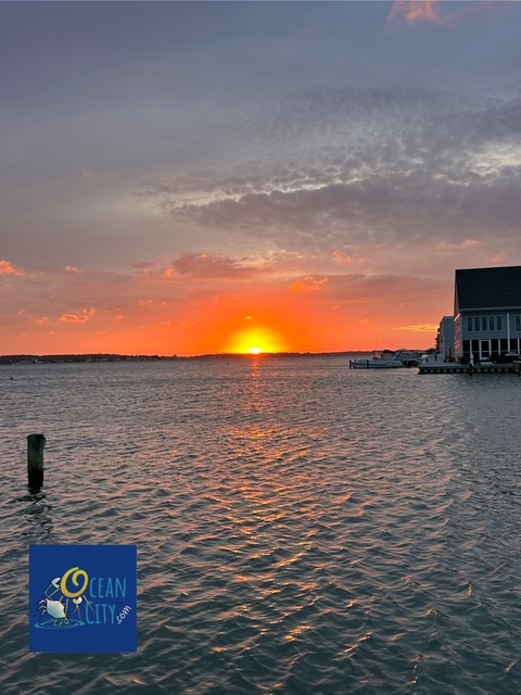 Nice sunset