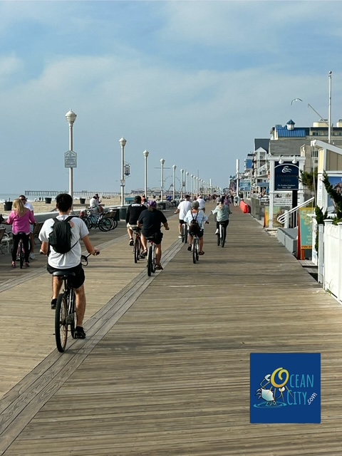 biking the boards