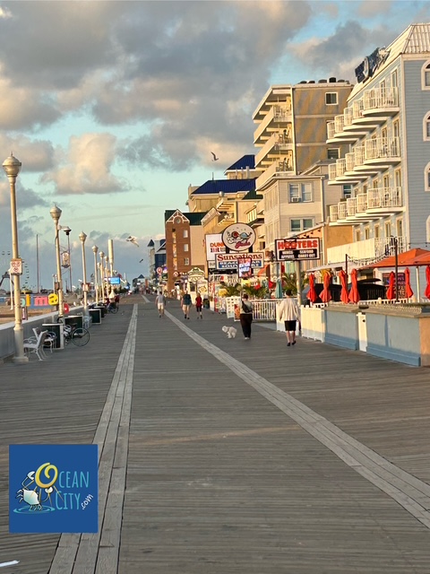 morning boardwalk
