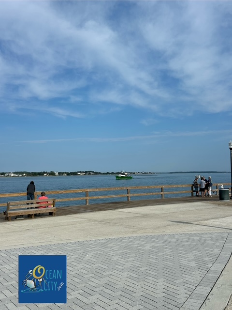 on the bayside