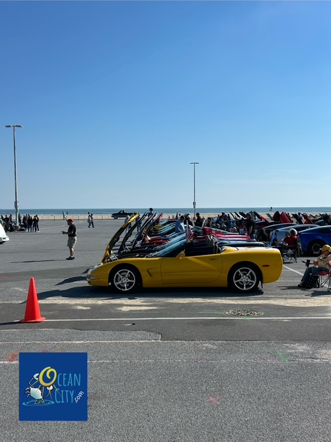 Corvette week
