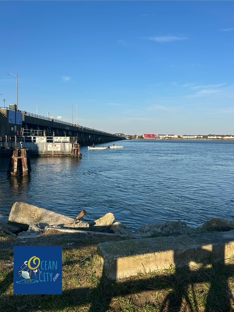 bay side view