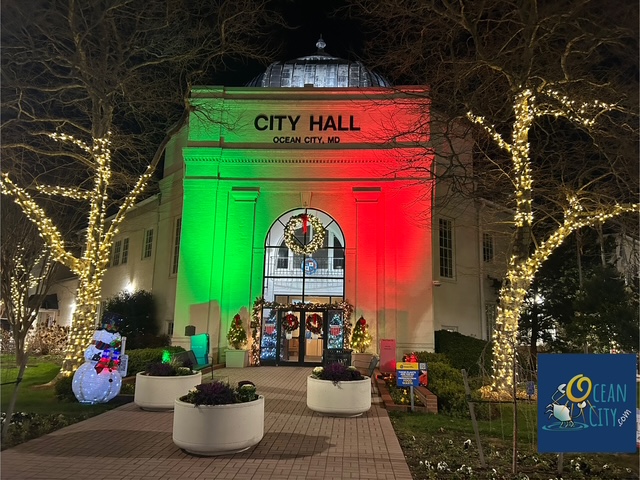 City Hall with holiday lights