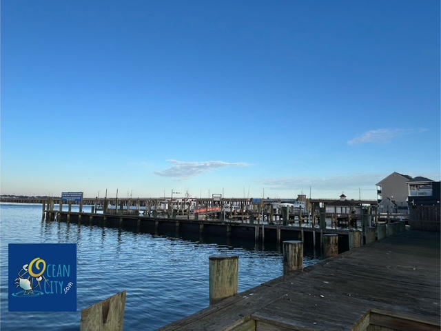bayside picture