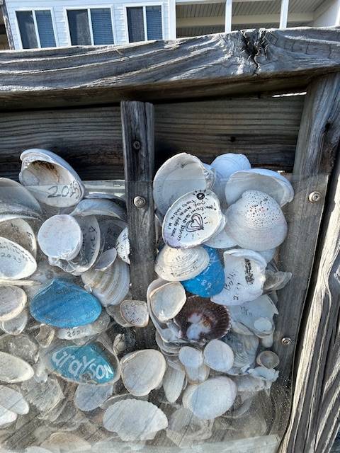 shell stories