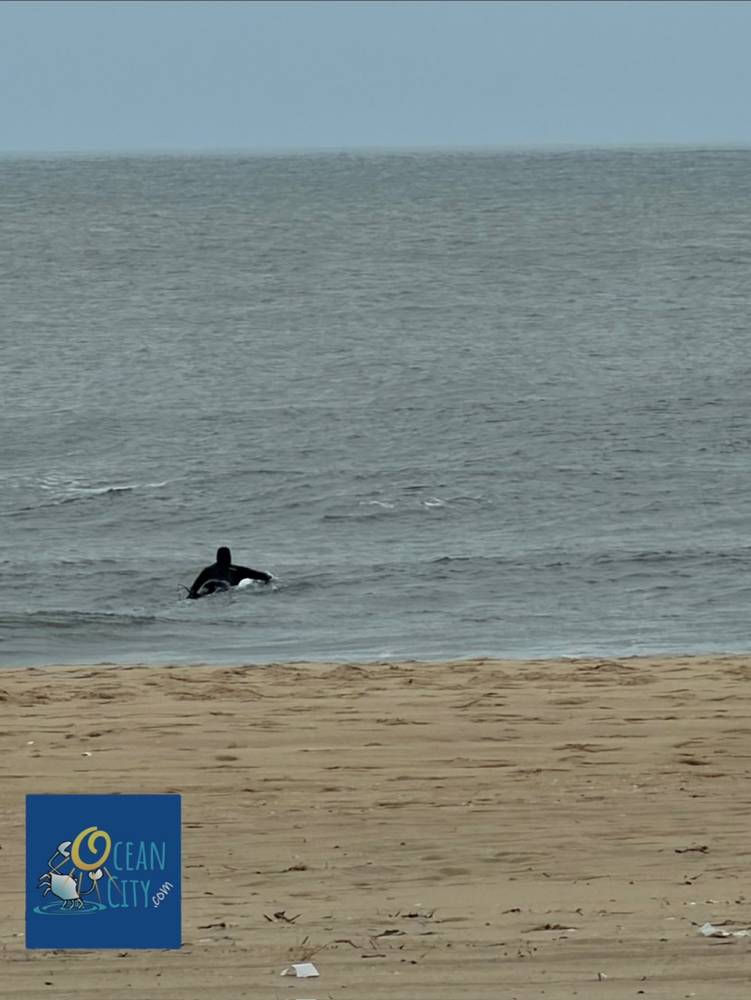 Winter surfer