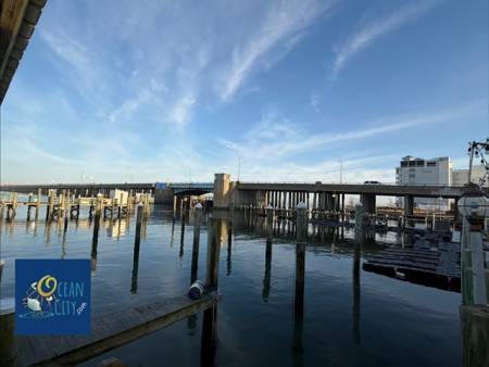 bayside view