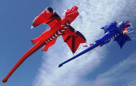 The Kite Loft, Ocean City, Maryland International Kite Festival