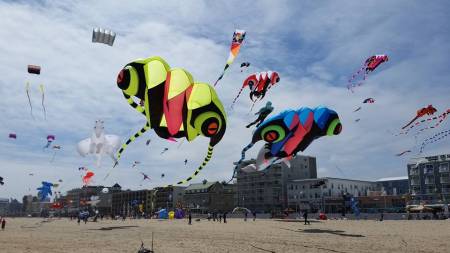 The Kite Loft, Ocean City, Maryland International Kite Festival