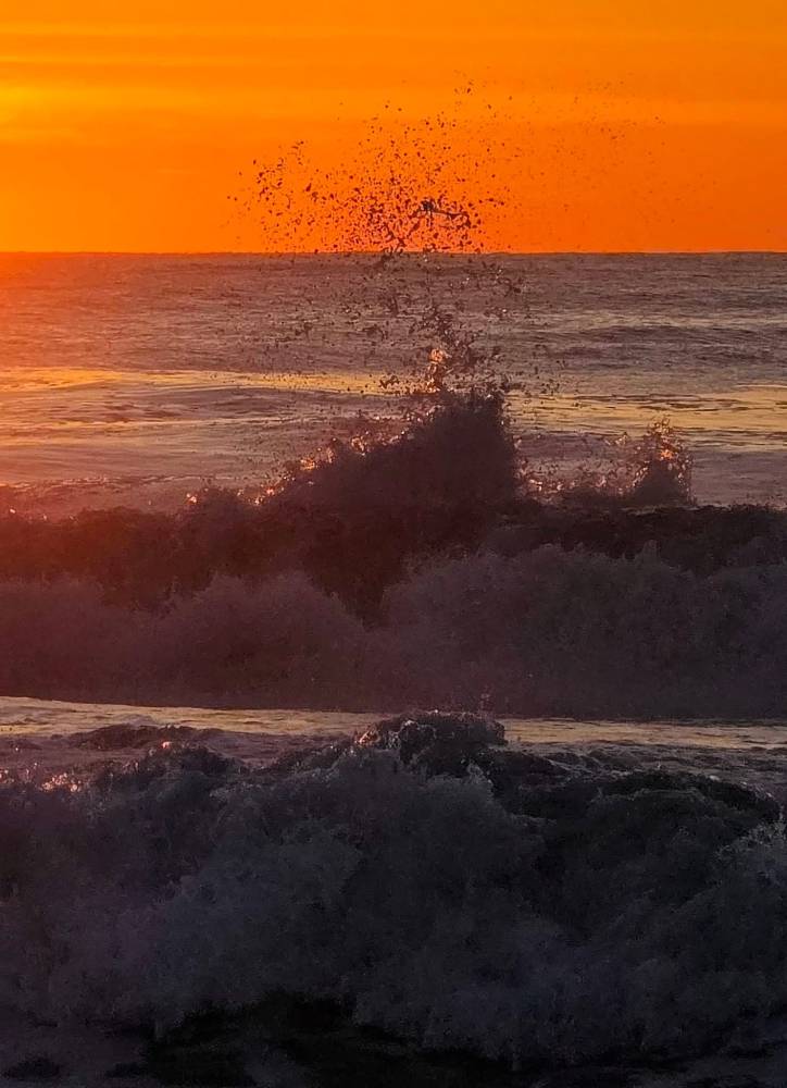 wave crashing jj mclaughlin Best of Ocean City® Photo Contest 2026