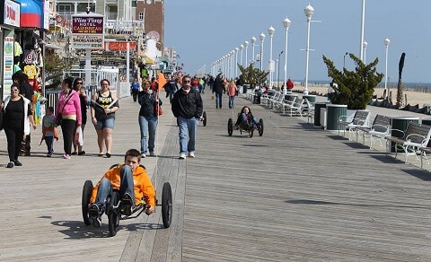 Boardwalk Guide