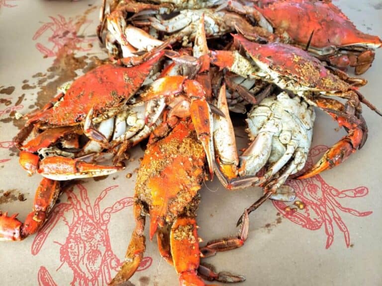 Guide to the Best Crabs in Ocean City, MD