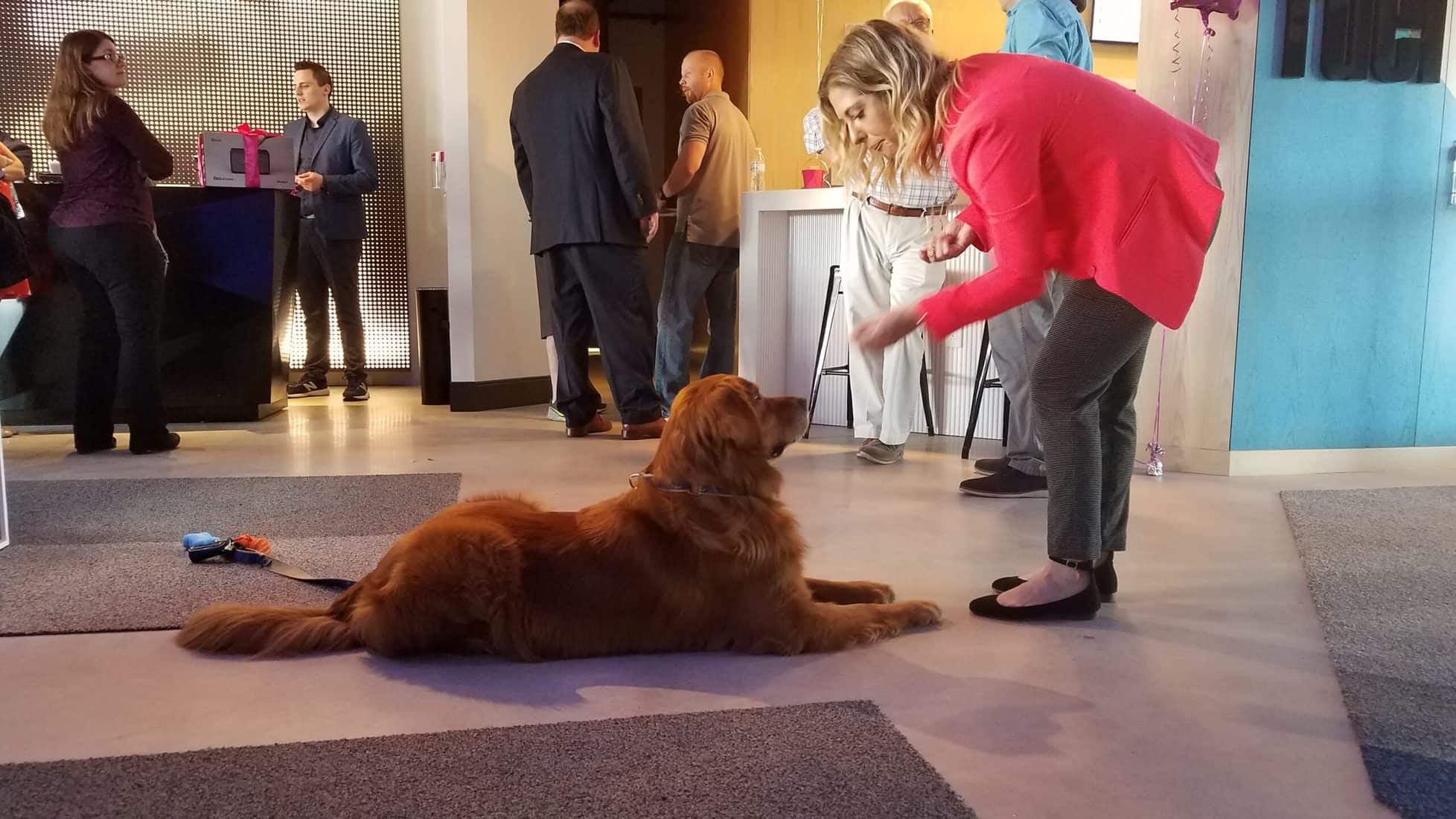 Pet Friendly Hotels