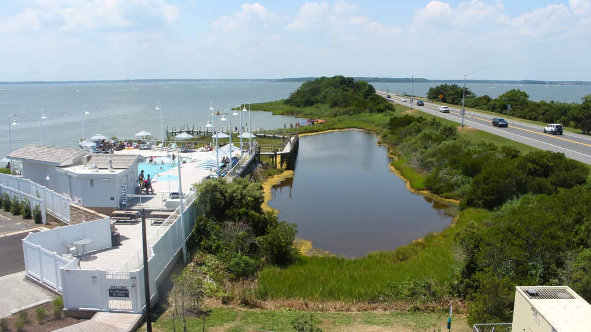 Bayfront Hotels