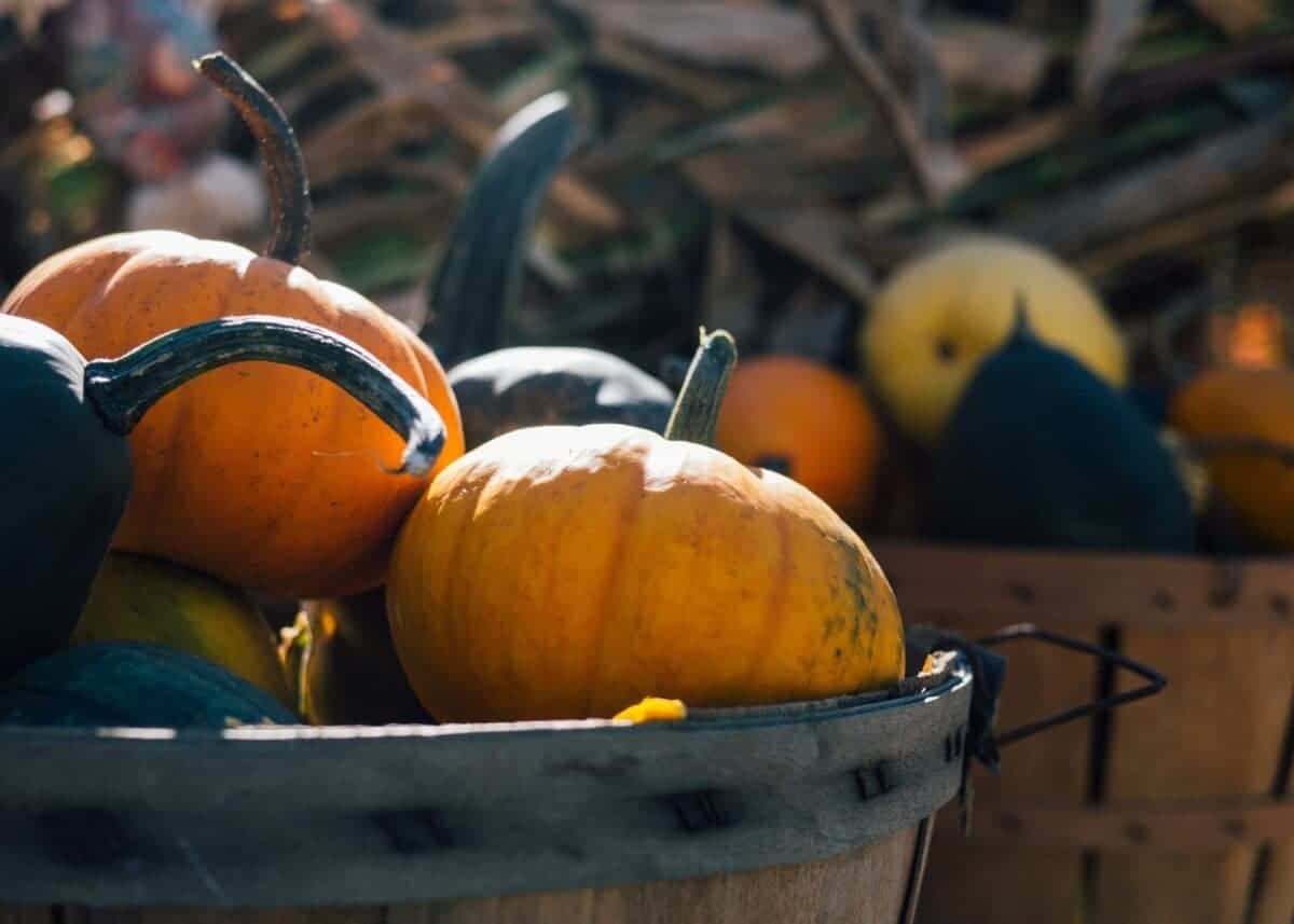 FALL