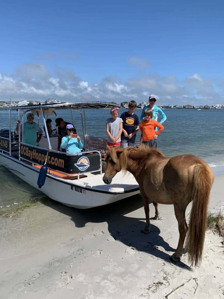 Best Boat Tour