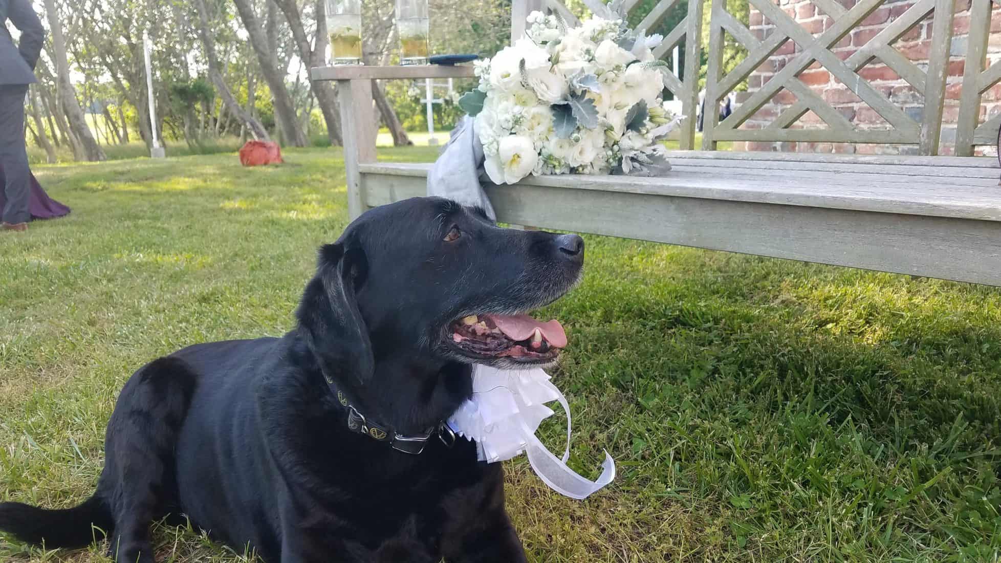 First Step for a Beach Wedding in Ocean City