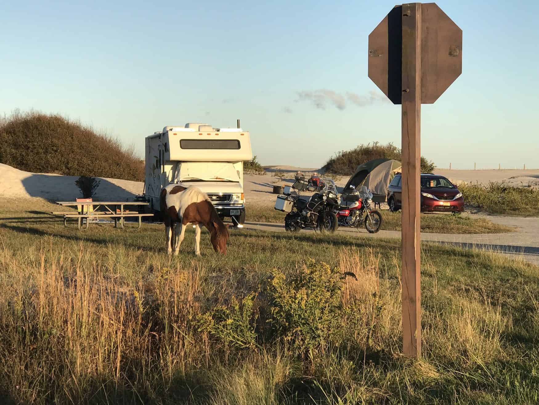 Camping at Assateague