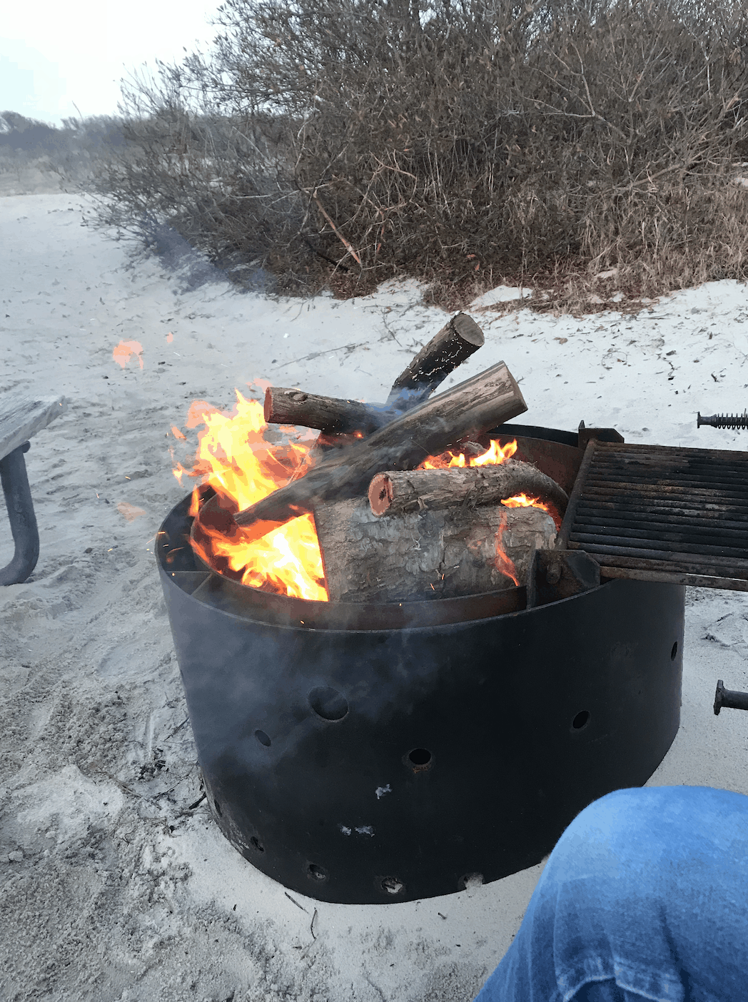 Camping in the Ocean City, Maryland region