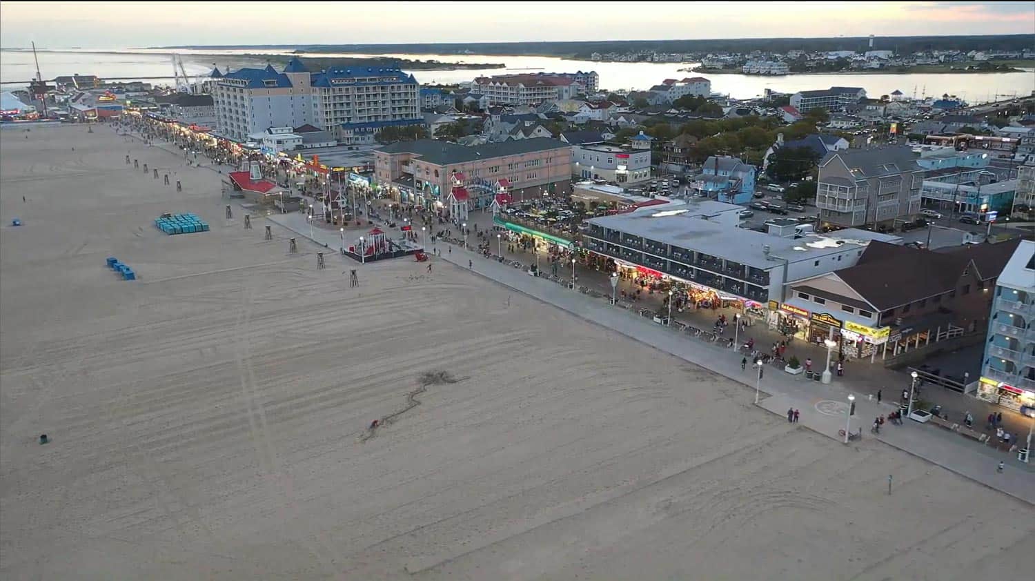 The Jellyfish Festival, Ocean City, Maryland