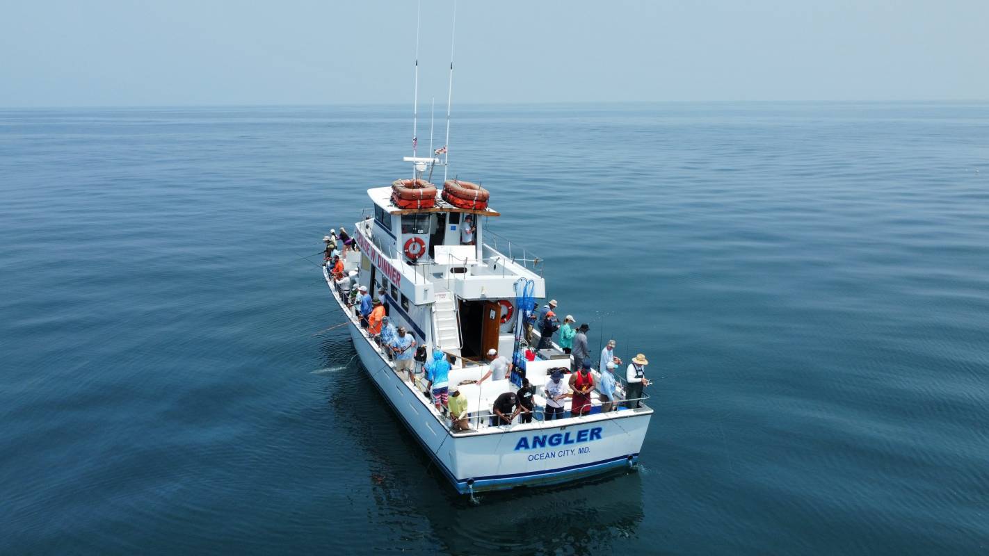 Tours & Sightseeing in and Around Ocean City, MD